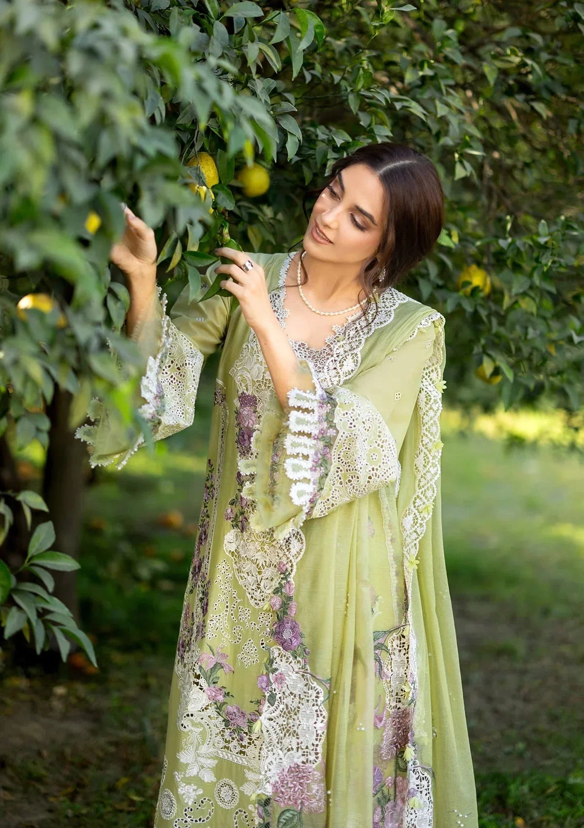 Elaf Premium Embroidered Luxury Lawn 3Pc Suit ELY-08 PISTACHIA