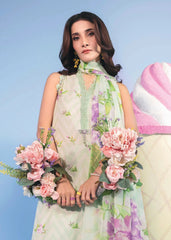 Maria.B M.Basics 15B