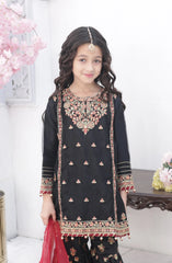Shanzey Roshni Embroidered Organza Stitched 3 Piece Suit - SHK-5803 - SHZ26RSN - Black - Girls Formal Collection