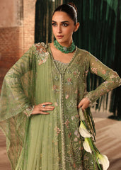 D5 - MINT MATWALI